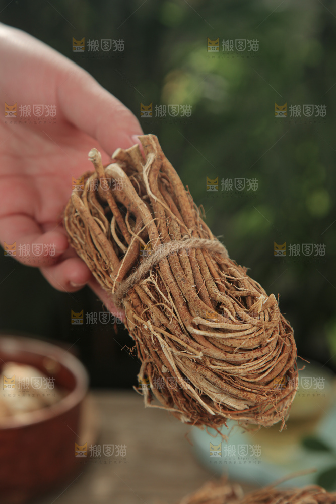 五指毛桃