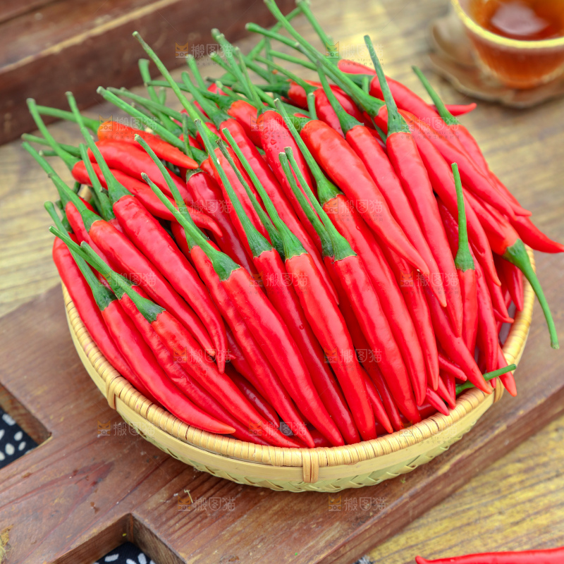 小米辣