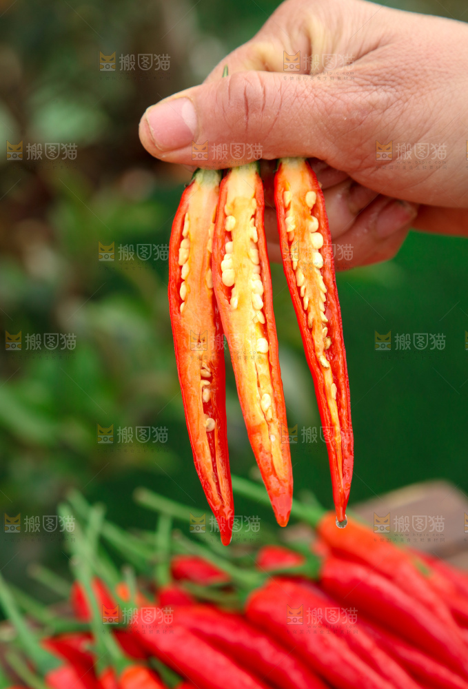 小米辣