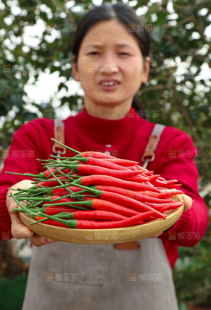 小米辣