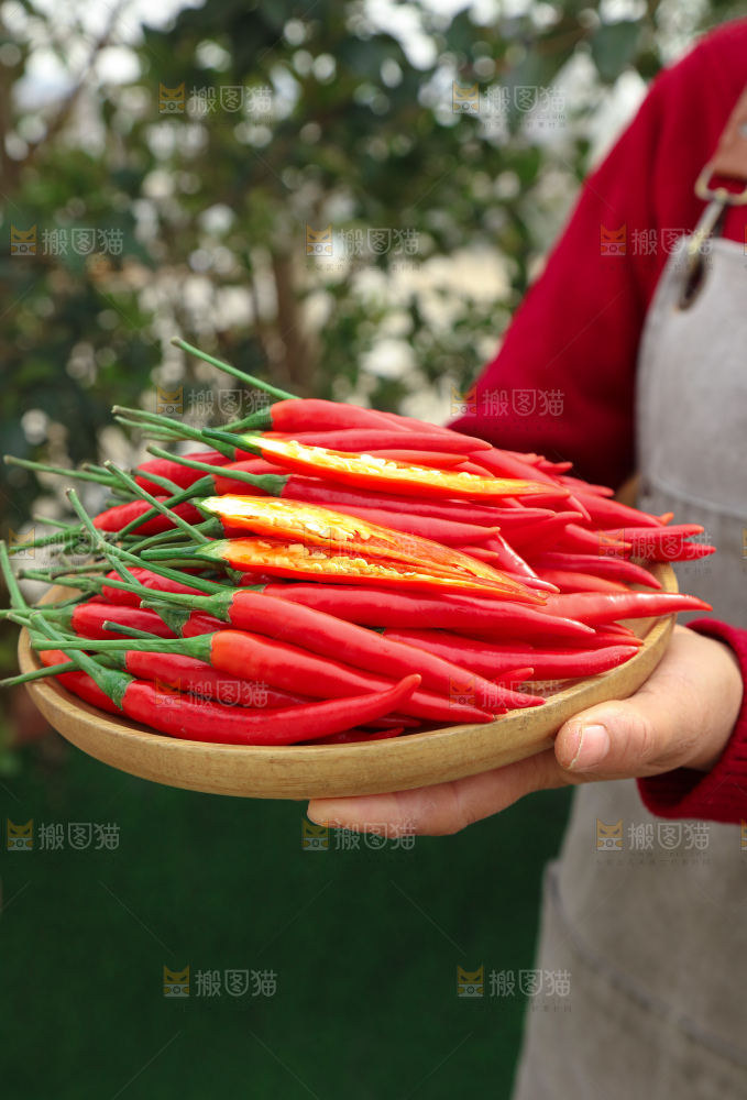 小米辣