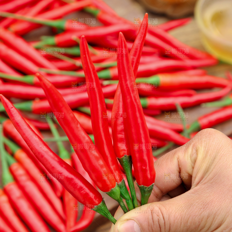 小米辣