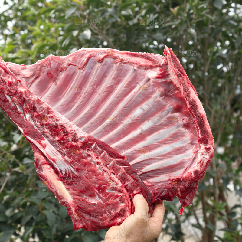 羊排