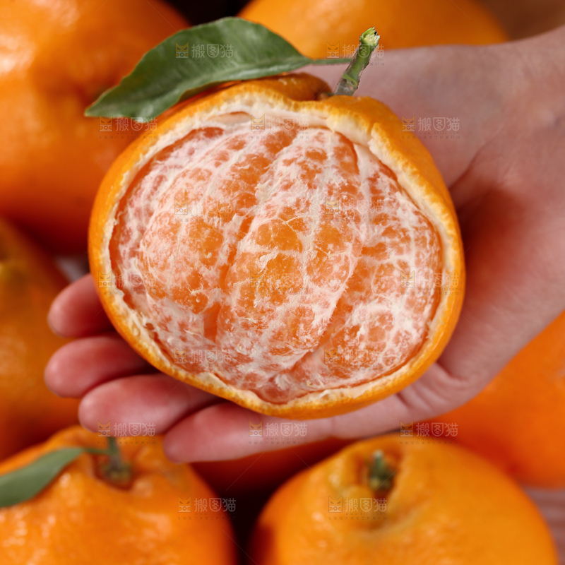 春见耙耙柑
