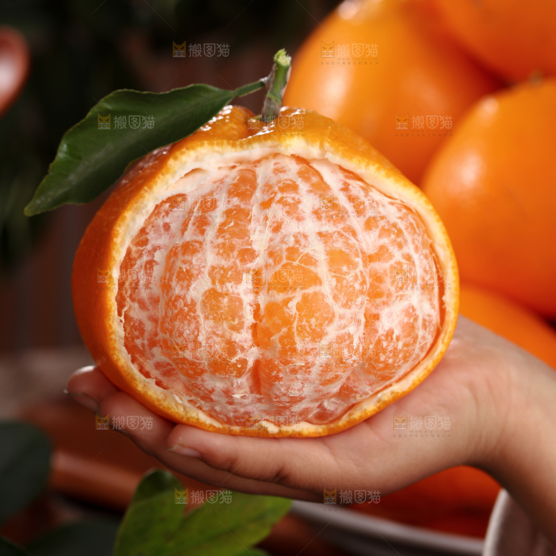 春见耙耙柑