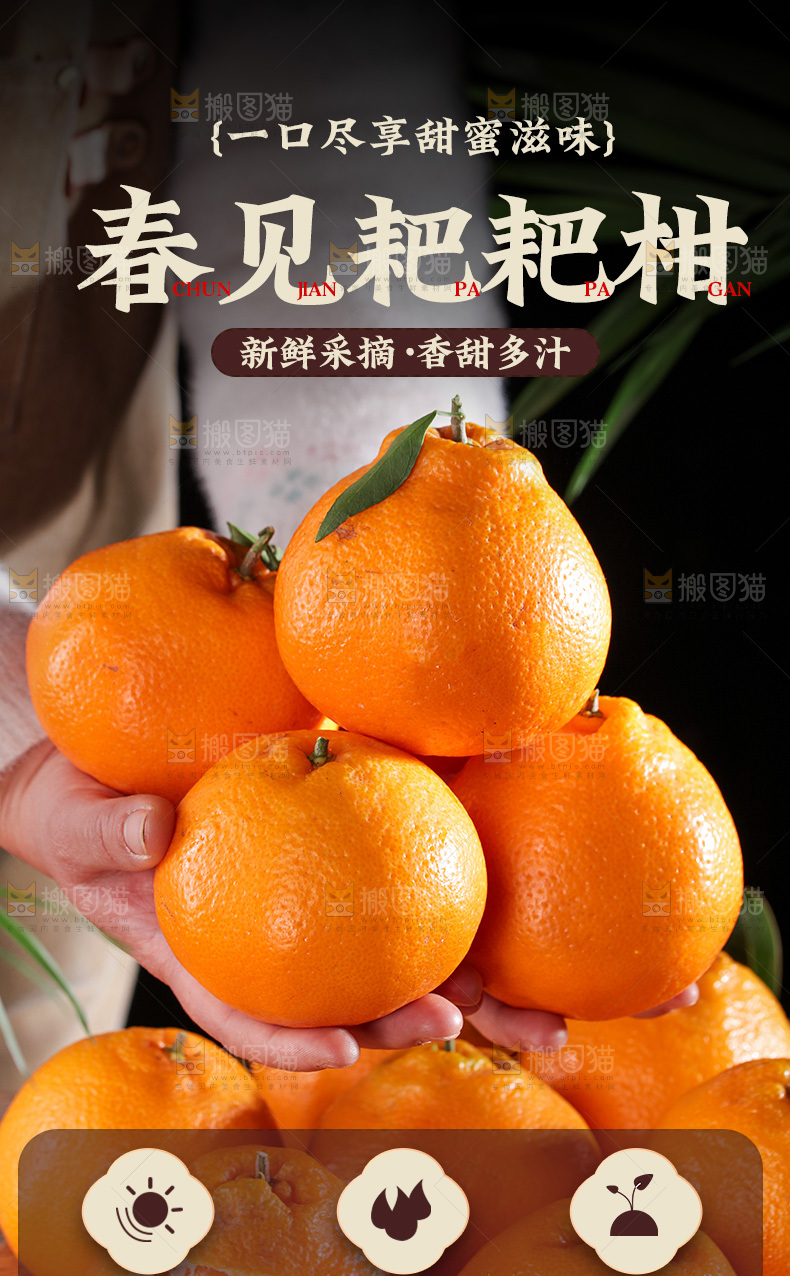 耙耙柑详情页