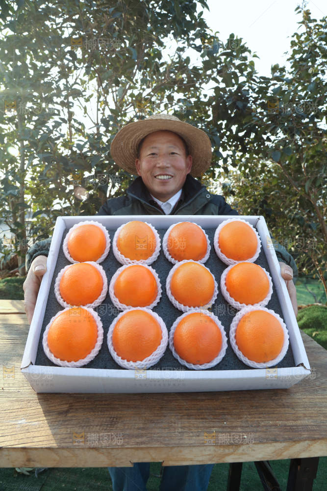 纽荷尔脐橙