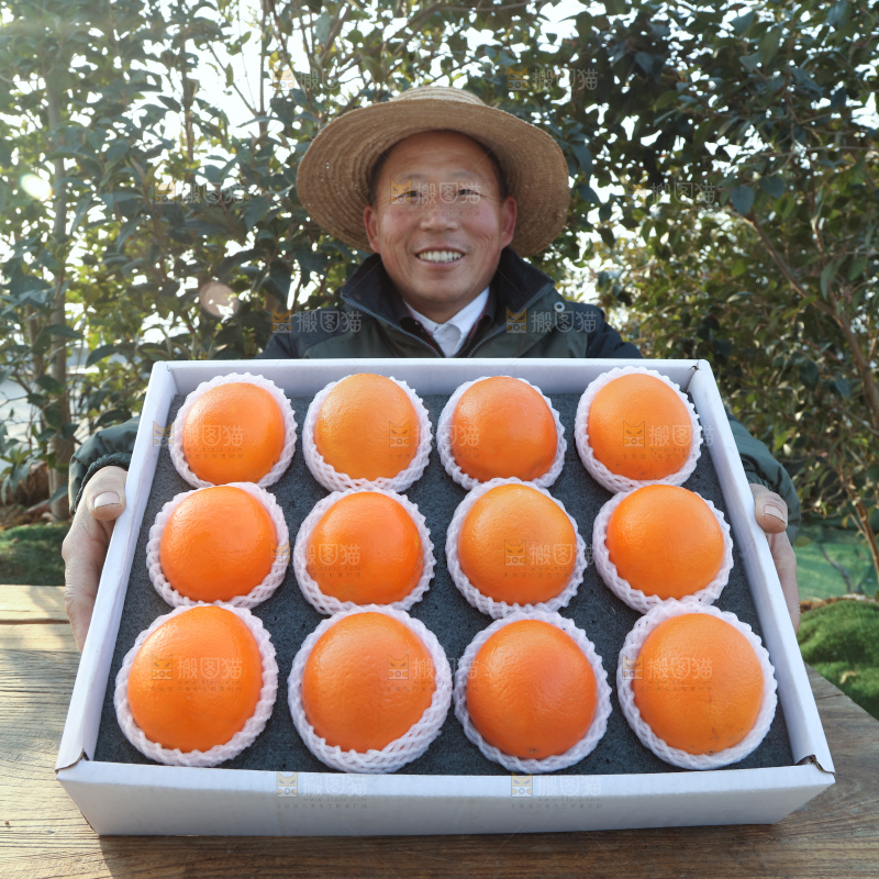 纽荷尔脐橙