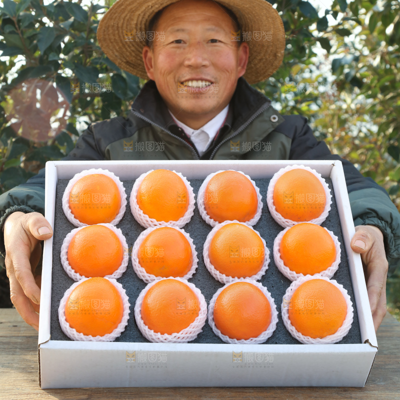 纽荷尔脐橙
