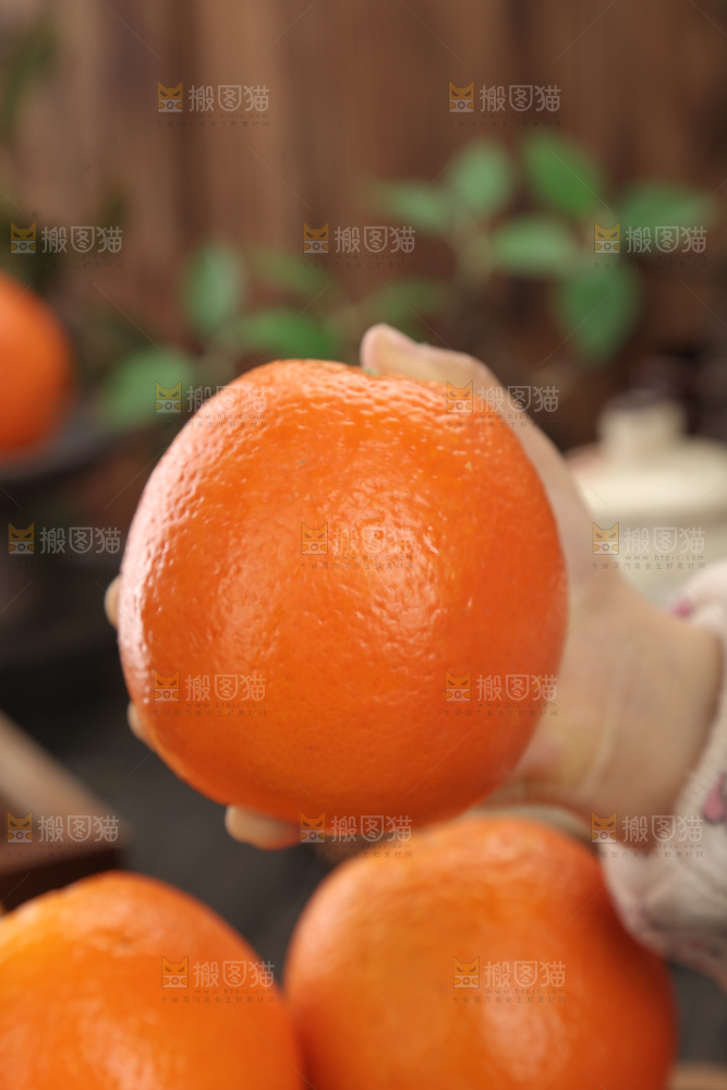 纽荷尔脐橙