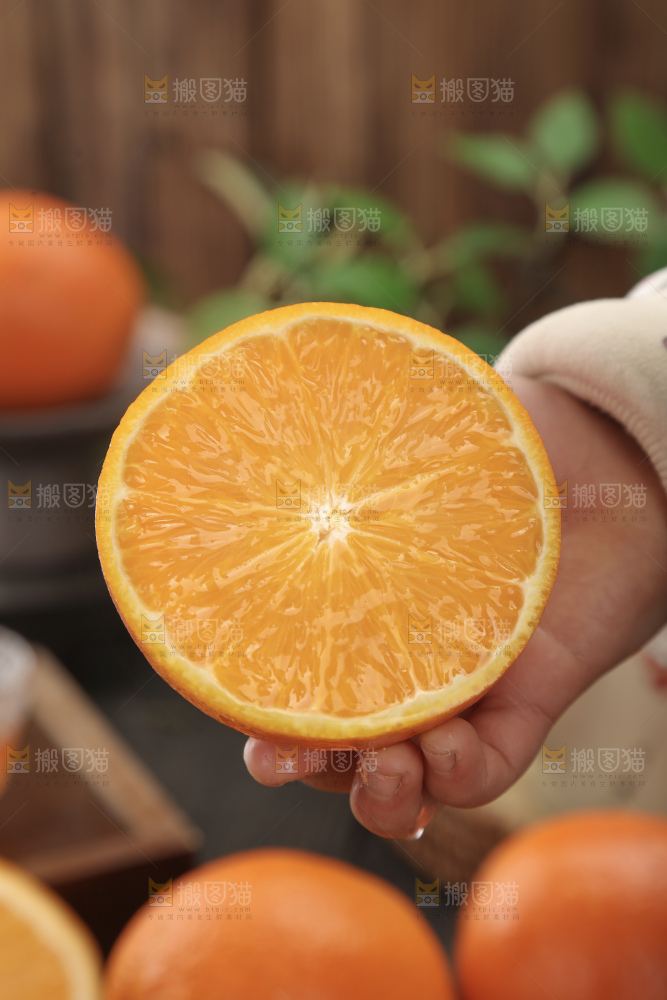 纽荷尔脐橙