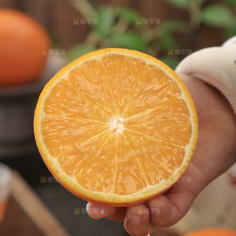 纽荷尔脐橙