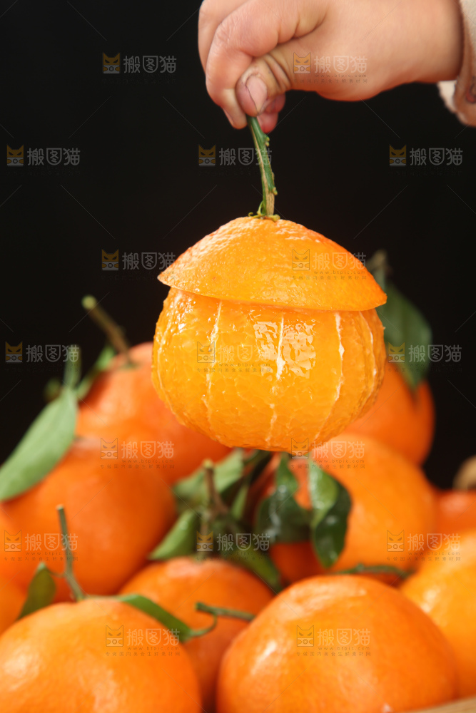 爱媛果冻橙