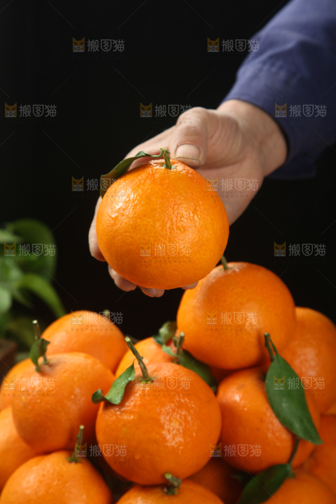 爱媛果冻橙