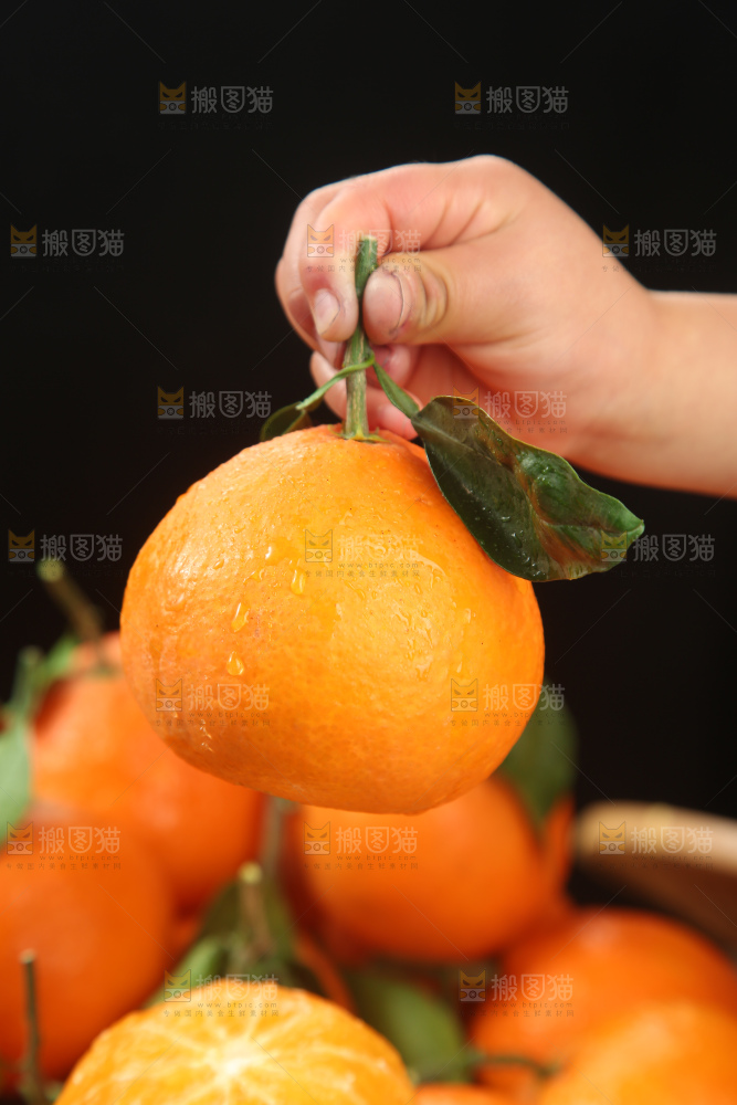 爱媛果冻橙