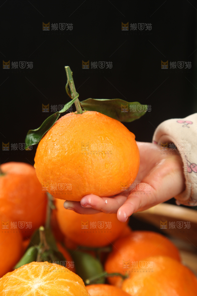 爱媛果冻橙