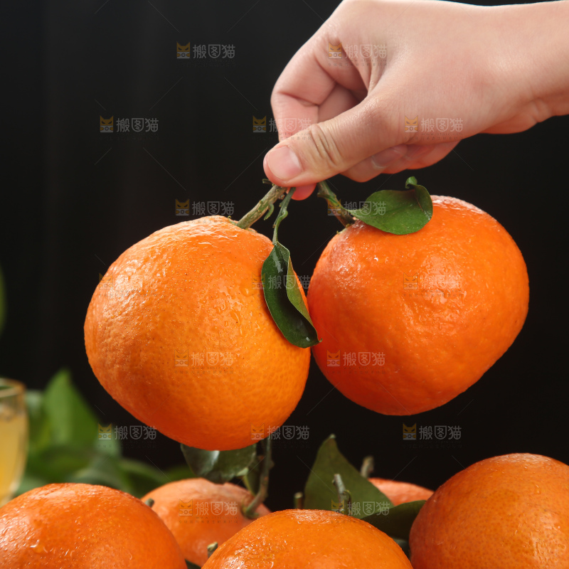 爱媛果冻橙