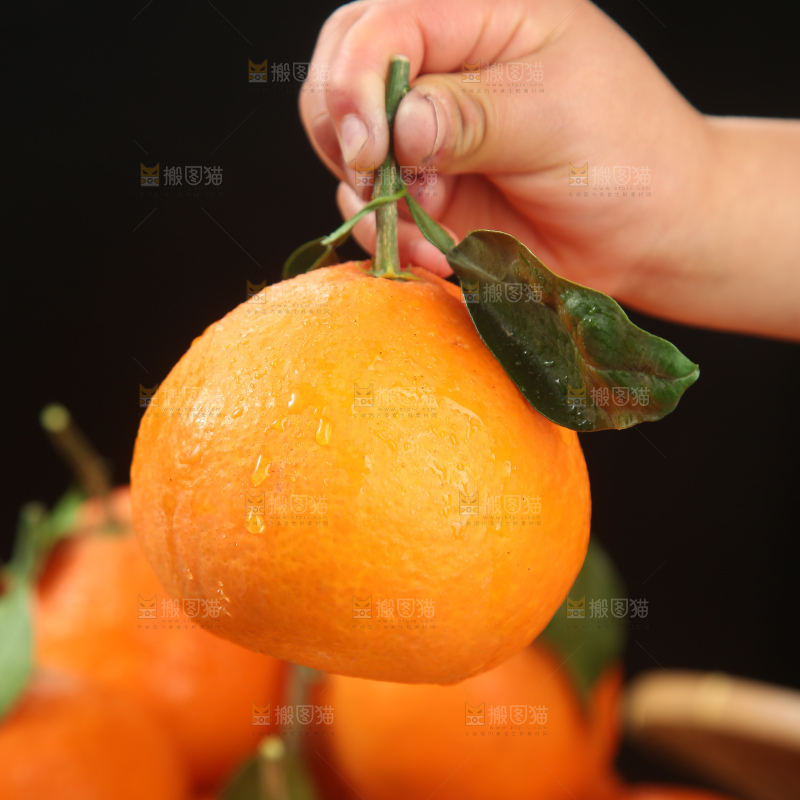 爱媛果冻橙