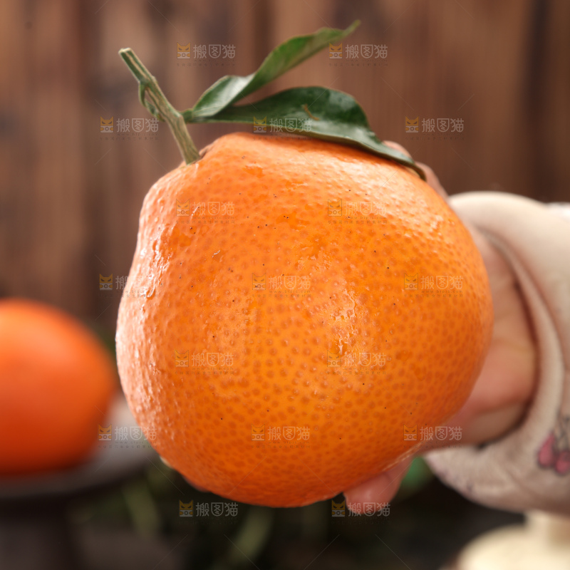 爱媛果冻橙