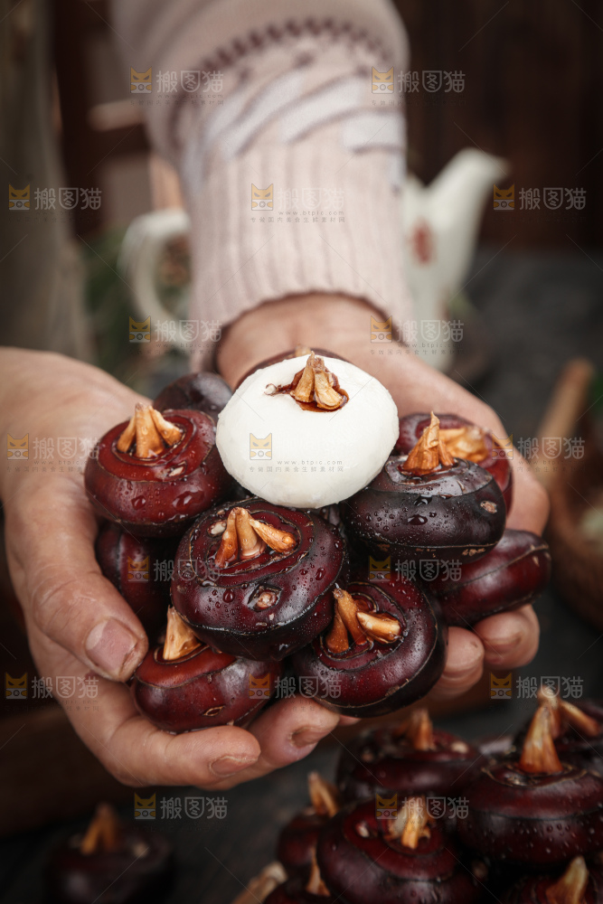 马蹄