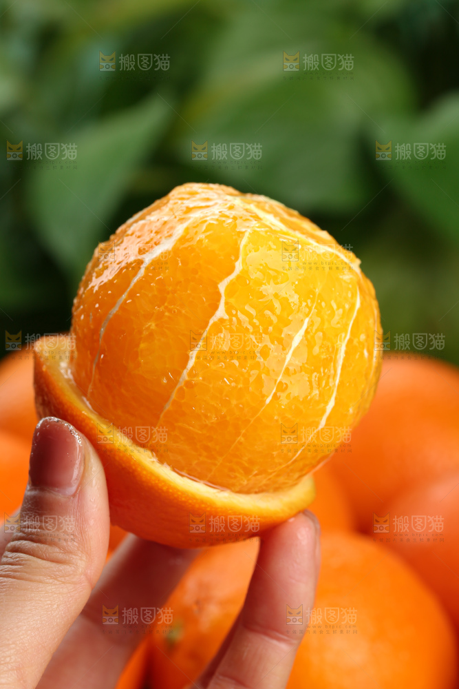 纽荷尔脐橙