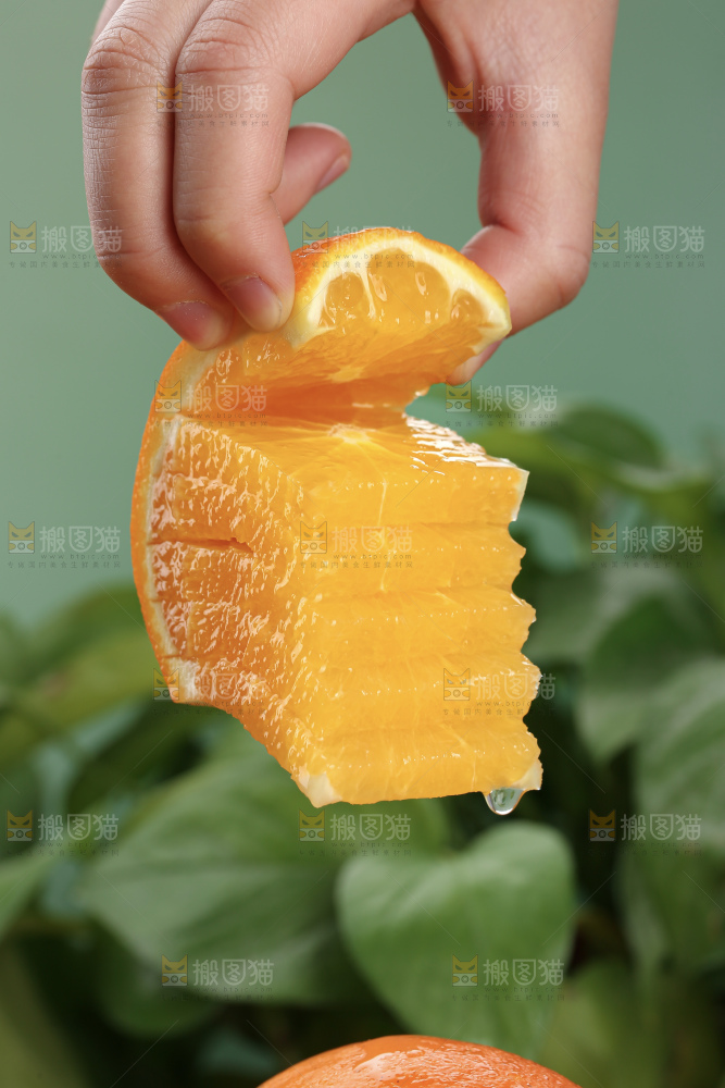 纽荷尔脐橙