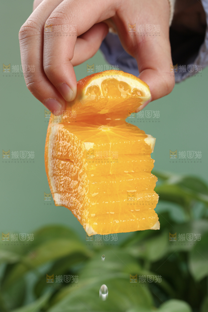 纽荷尔脐橙