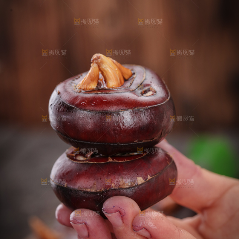 马蹄