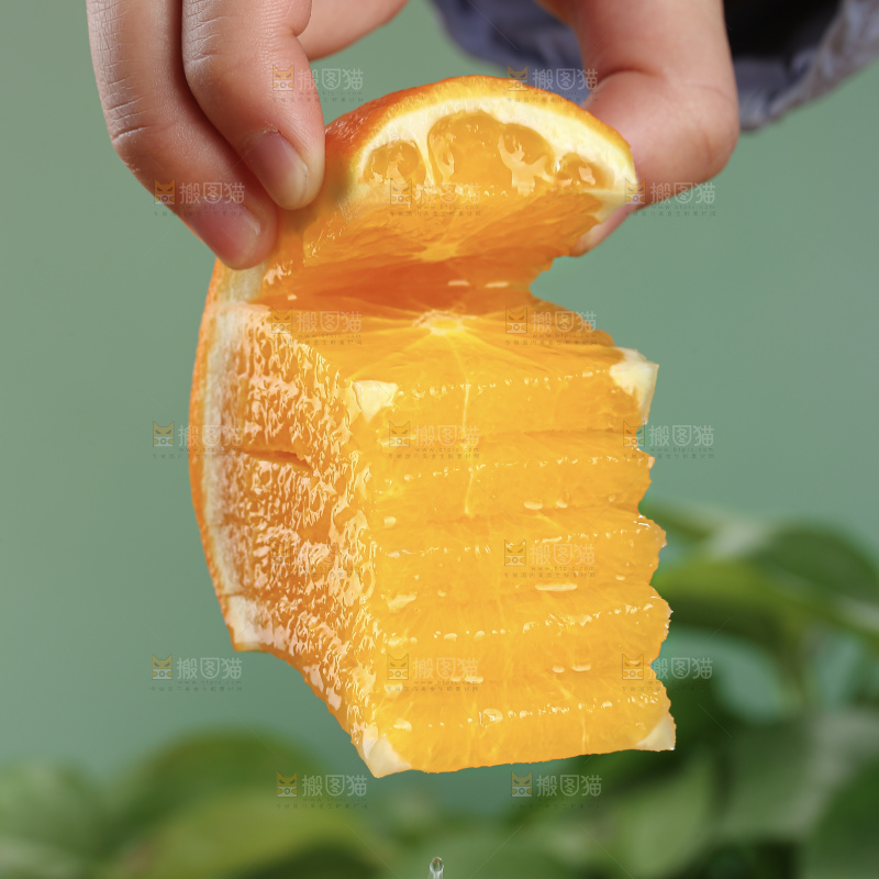 纽荷尔脐橙