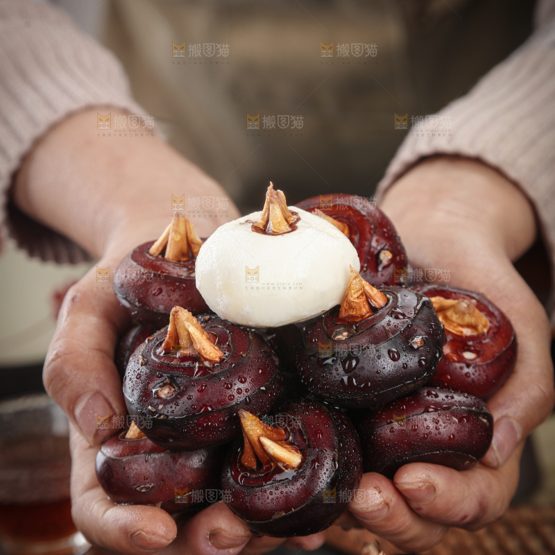 马蹄