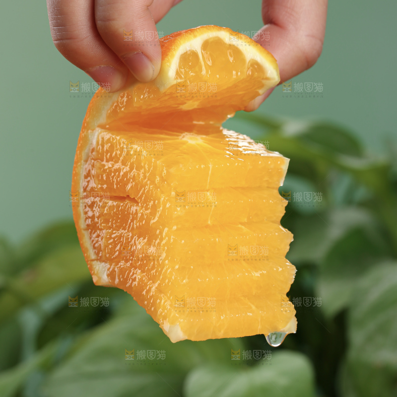 纽荷尔脐橙