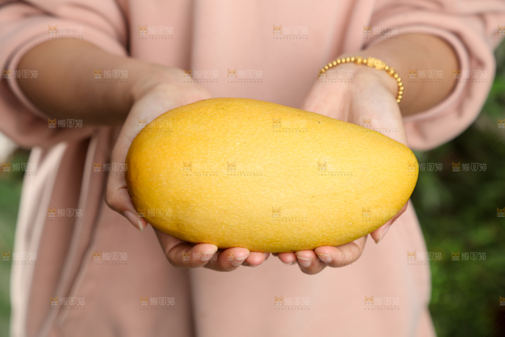 水仙芒