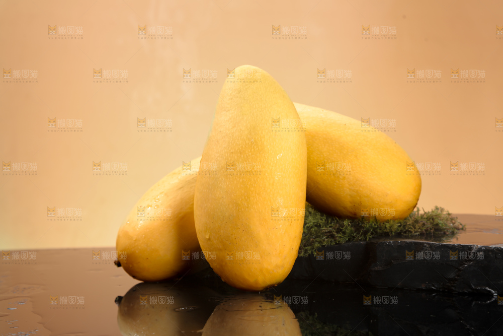 水仙芒