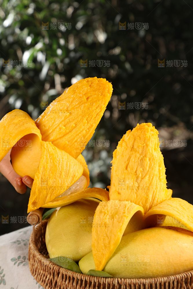 水仙芒