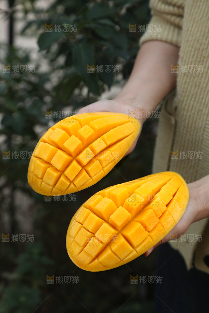 水仙芒