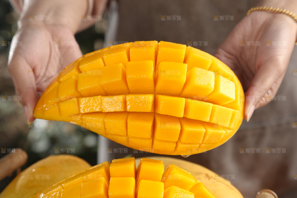水仙芒