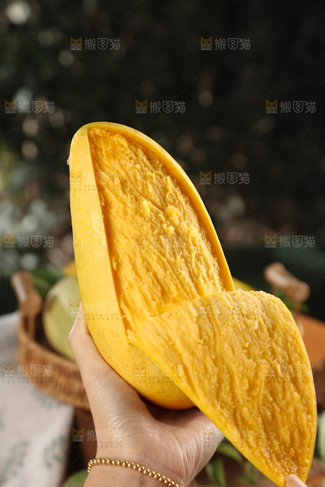 水仙芒