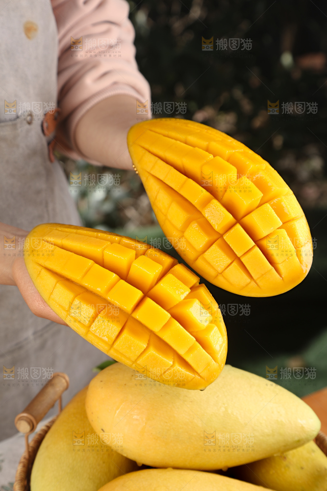 水仙芒