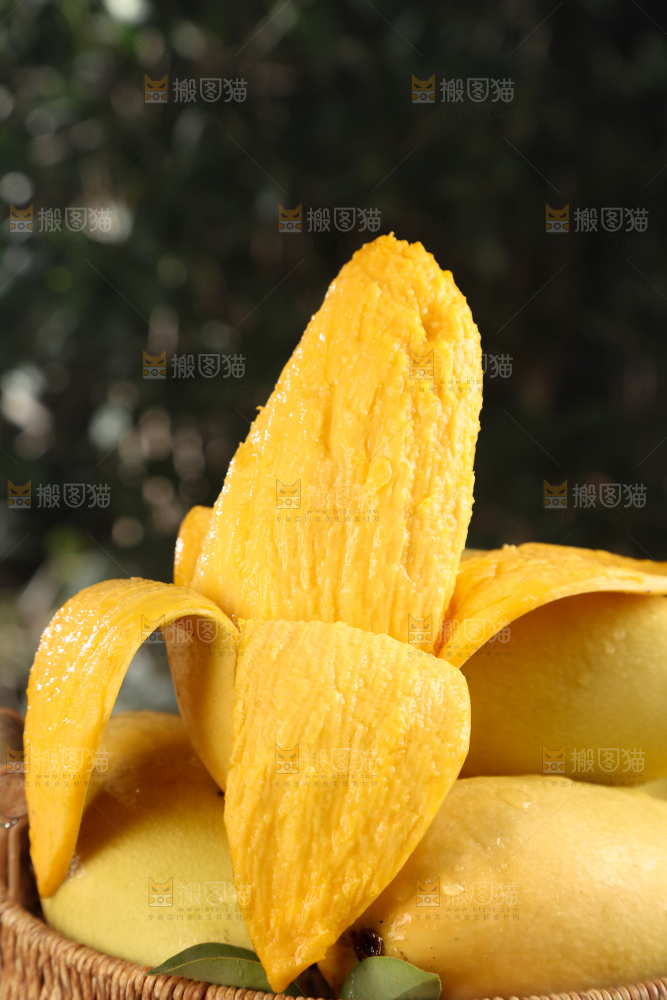 水仙芒