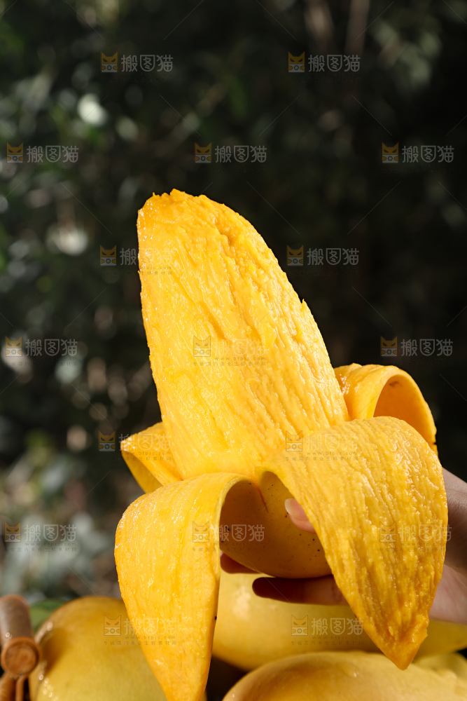 水仙芒