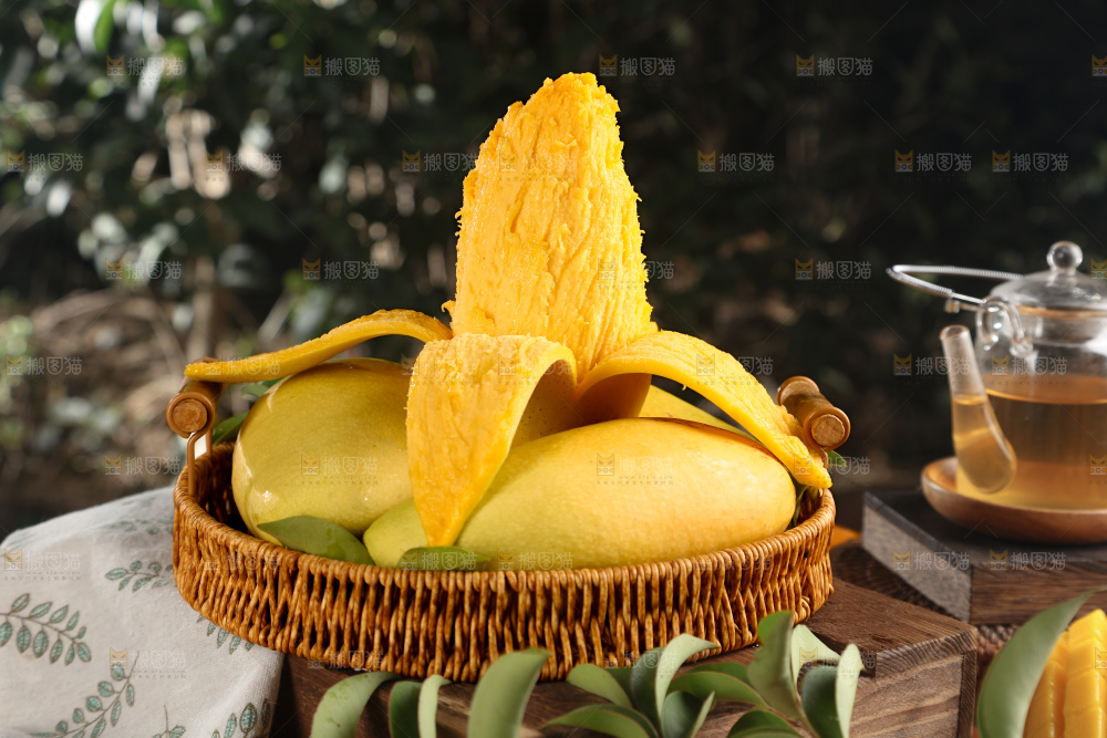 水仙芒