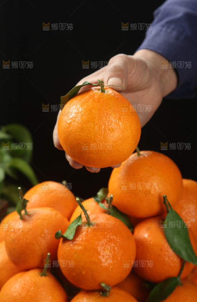爱媛果冻橙
