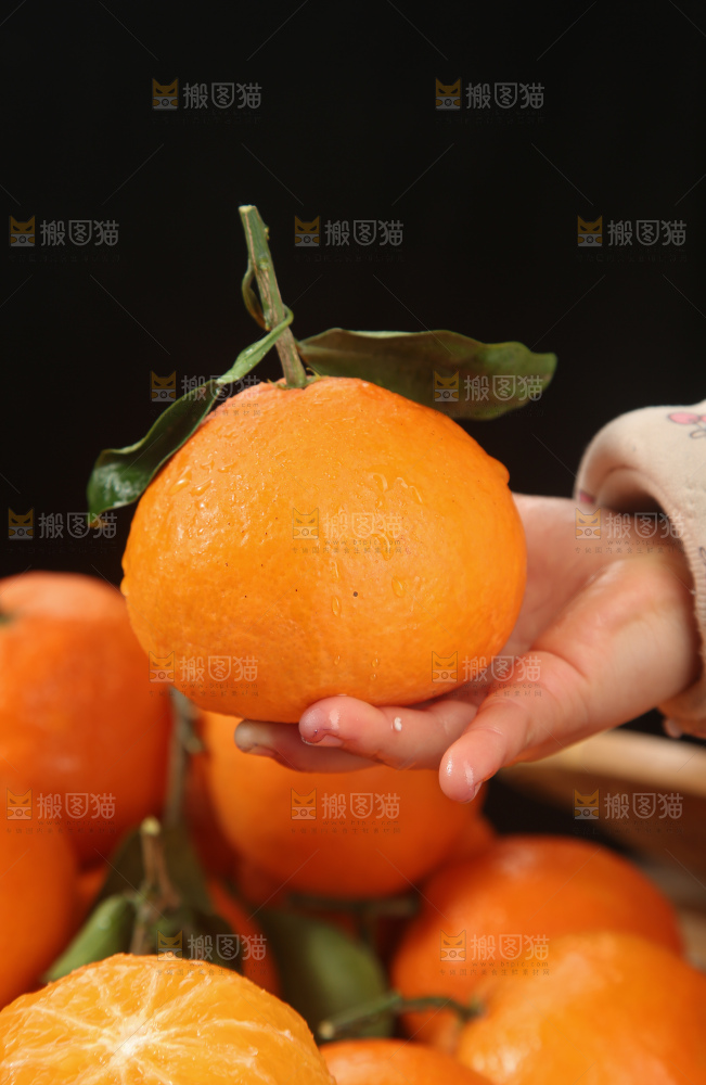 爱媛果冻橙