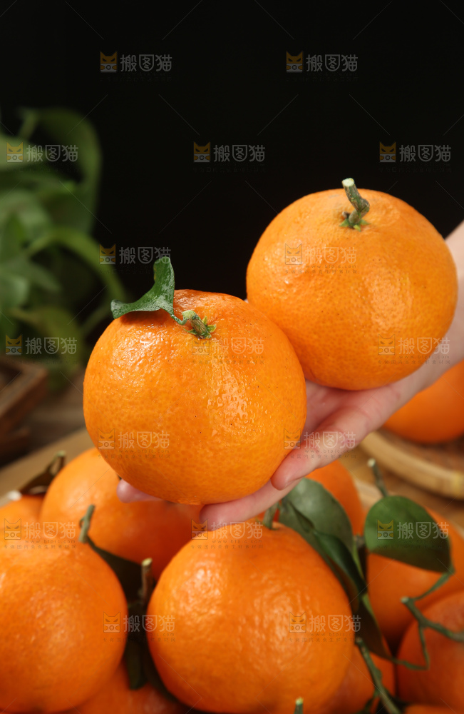 爱媛果冻橙