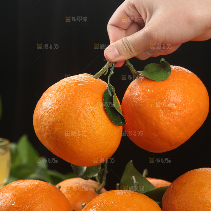 爱媛果冻橙