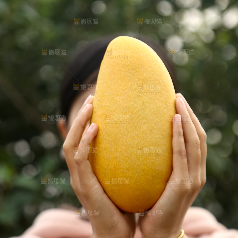 水仙芒