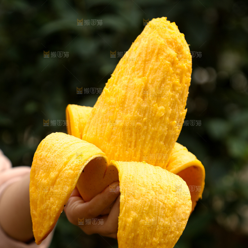水仙芒