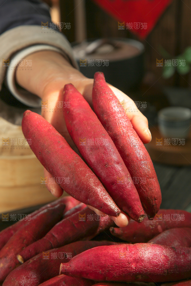 小香薯