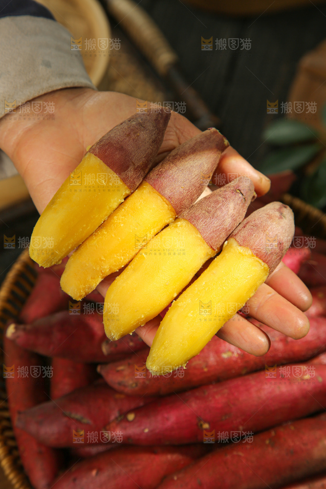 小香薯