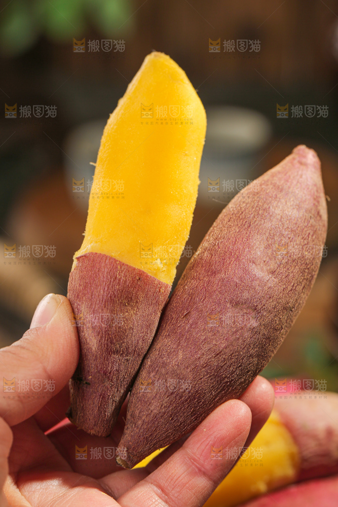 小香薯